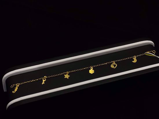 Picture of انسيال