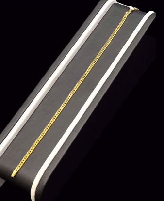 Picture of انسيال